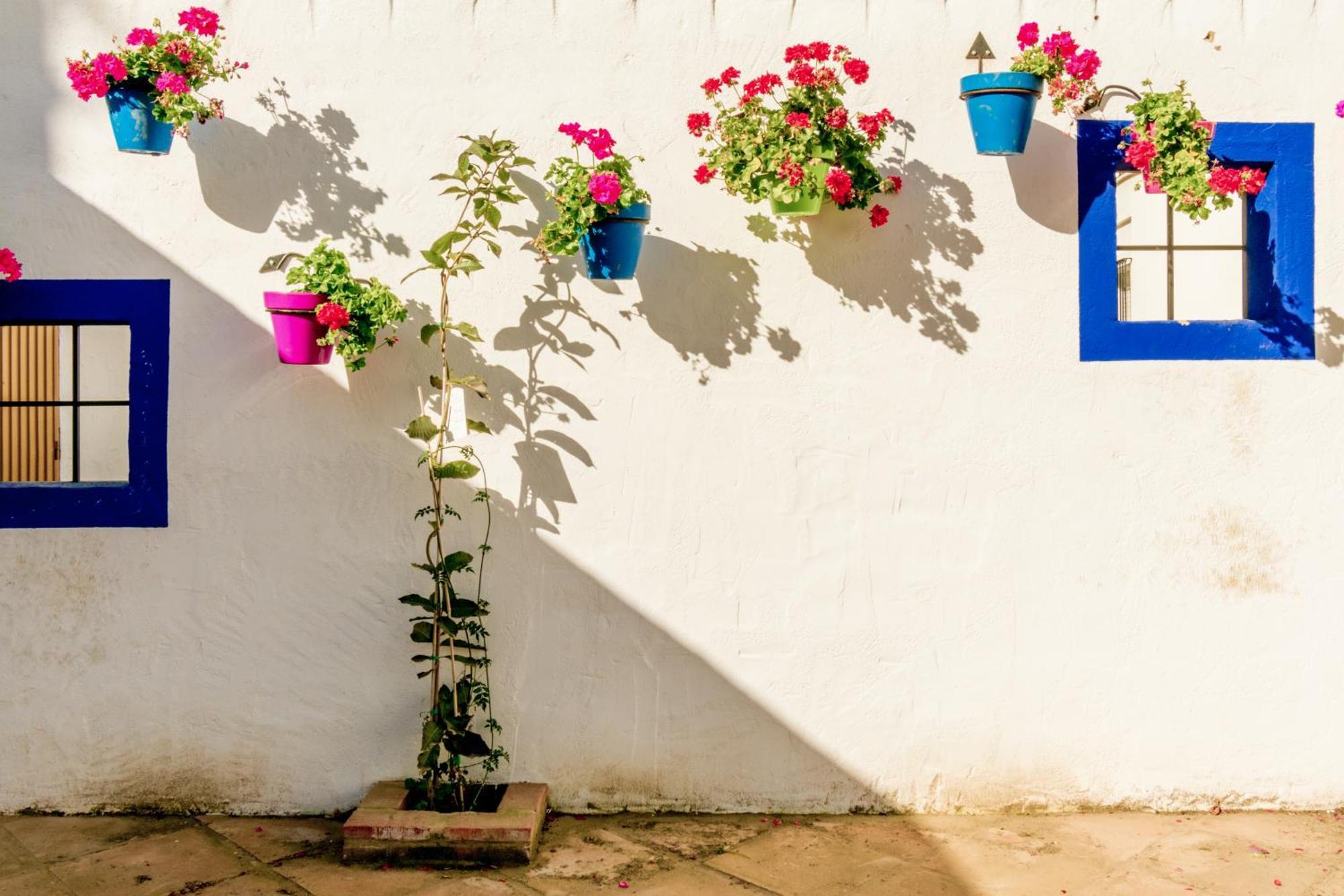 אסטפונה Casa Del Patio - Boutique Apartments (Adults Only) מראה חיצוני תמונה